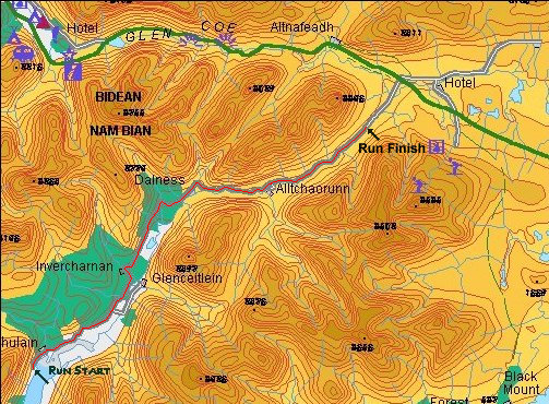 The Run Section.